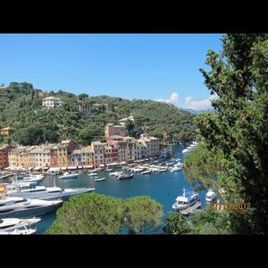 Meet your Posher, Tony